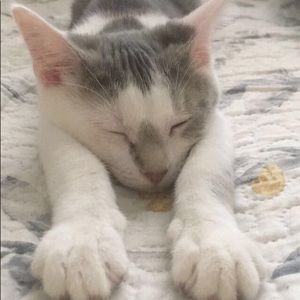 Meet your Posher, Kendall